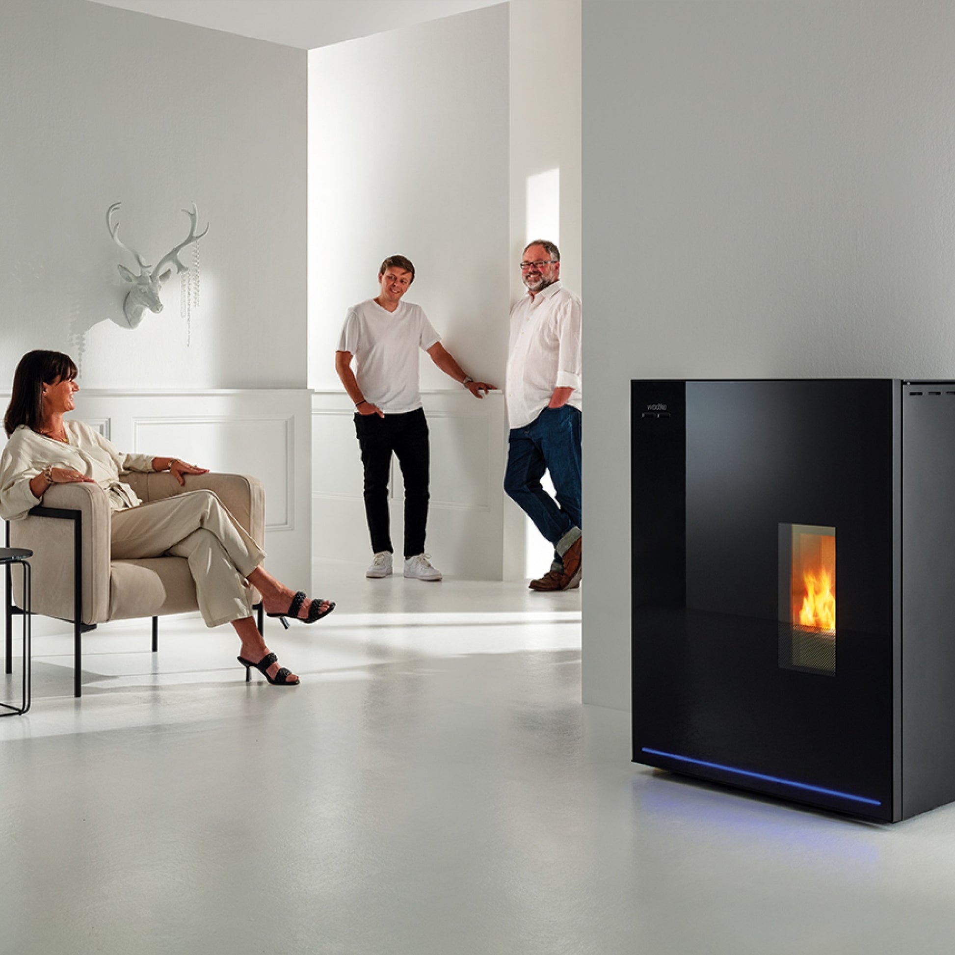 Pelletofen Wodtke ix.iQ air+