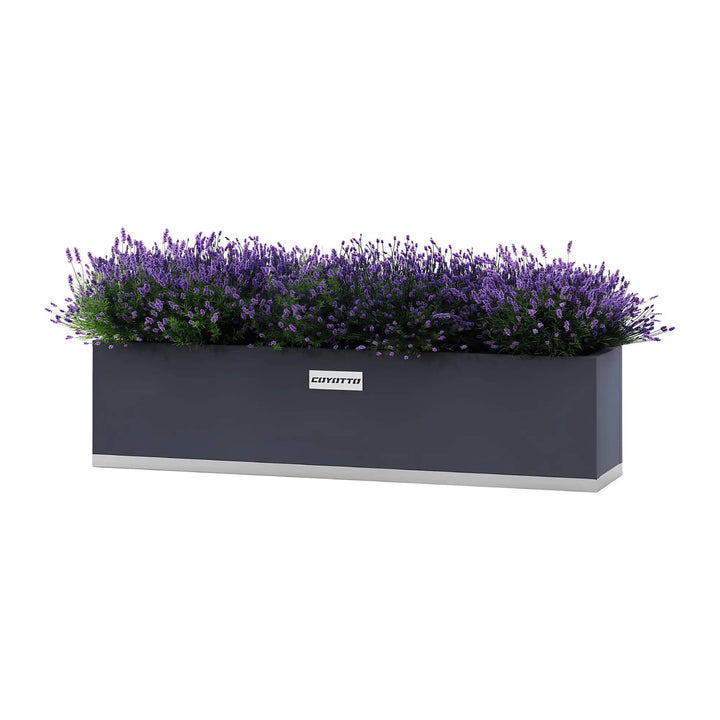 Coyotto Balkon-Pflanzgefäß – Längliches Balkon-Pflanzgefäß mit Lavendel auf Weiß