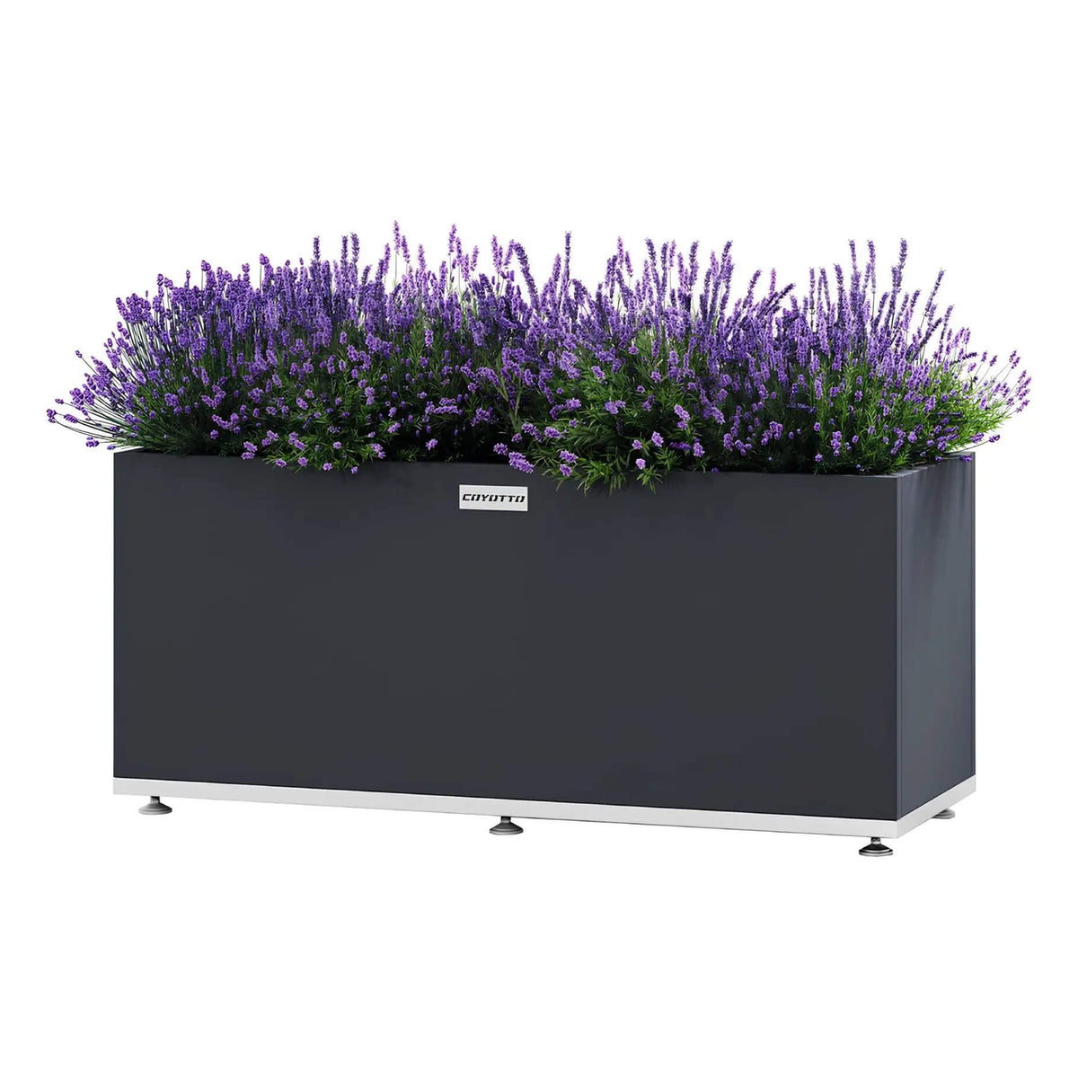 Coyotto Pflanzkübel rechteckig – Rechteckiger Pflanzkübel mit Lavendel auf Stellfüßen