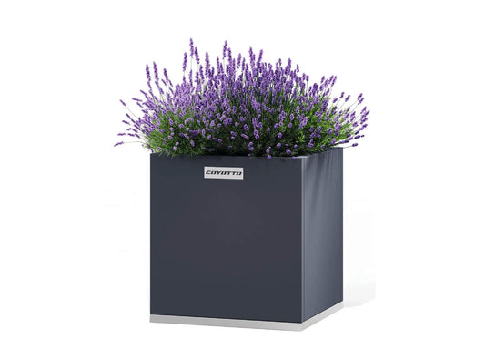Coyotto Stahlpflanzkübel Quadratisch, 60cm x 60cm x 50cm - ofenerlebnis.de