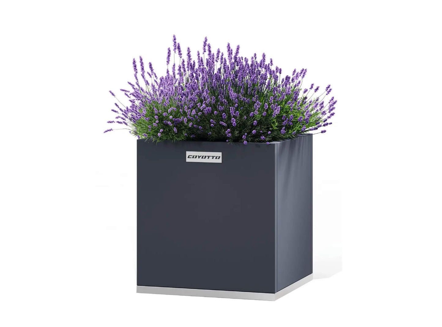 Coyotto Stahlpflanzkübel Quadratisch, 60cm x 60cm x 75cm - ofenerlebnis.de