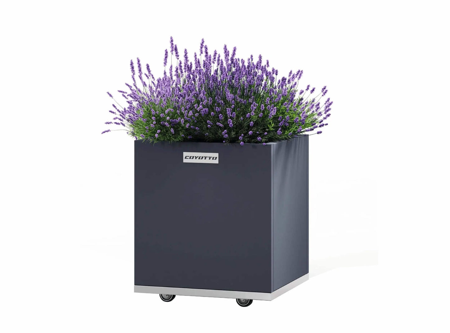 Coyotto Stahlpflanzkübel Quadratisch, 60cm x 60cm x 75cm - ofenerlebnis.de