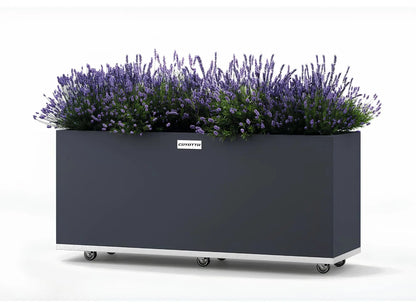 Coyotto Stahlpflanzkübel Rechteckig, 100cm x 40cm x 75cm - ofenerlebnis.de