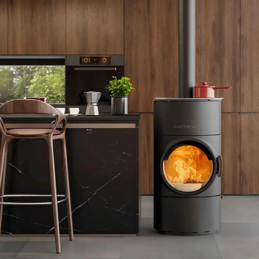 kaminofen austroflamm clou compact cook