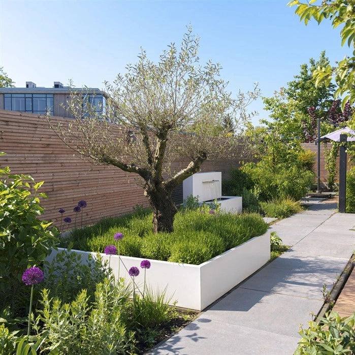 Pflanzkübel ADEZZ CARREZ aus Aluminium – Hersteller-Serienmotiv im Garten; Modellabbildung