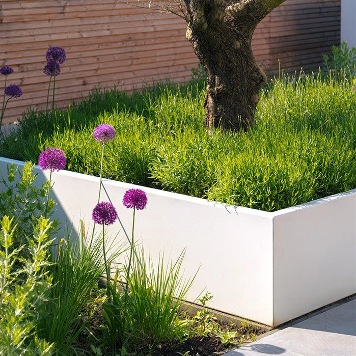 Pflanzkübel ADEZZ CARREZ aus Aluminium – Hersteller-Serienmotiv im Garten; Modellabbildung