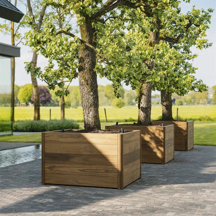 Pflanzkübel ADEZZ CARREZ New Design aus Hartholz mit Bepflanzung unter Bäumen