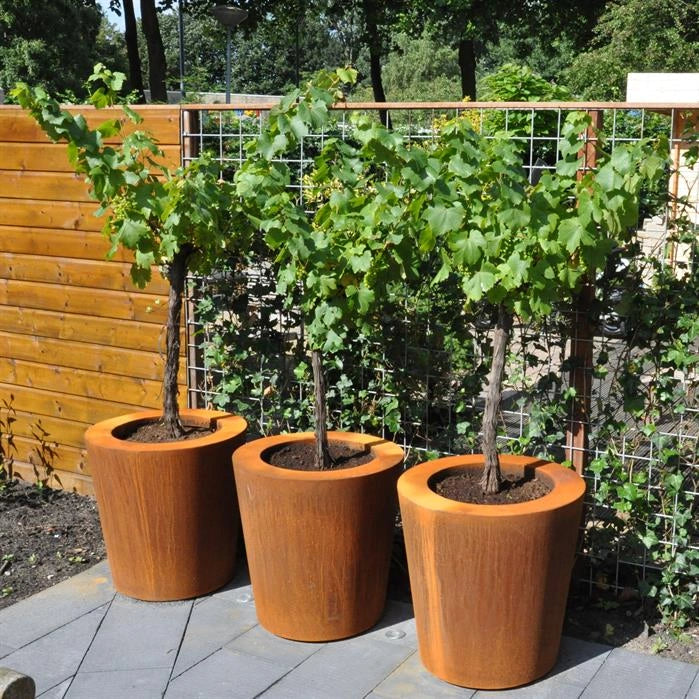 Pflanzkübel ADEZZ CONIC – originale Herstelleransicht