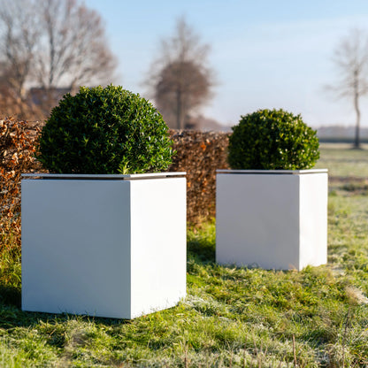Pflanzkübel ADEZZ DOMUS aus Aluminium in einer Bepflanzungssituation