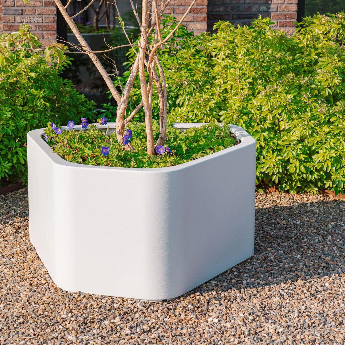 Pflanzkübel ADEZZ SHAPE aus Fiberglas in einer Bepflanzungssituation
