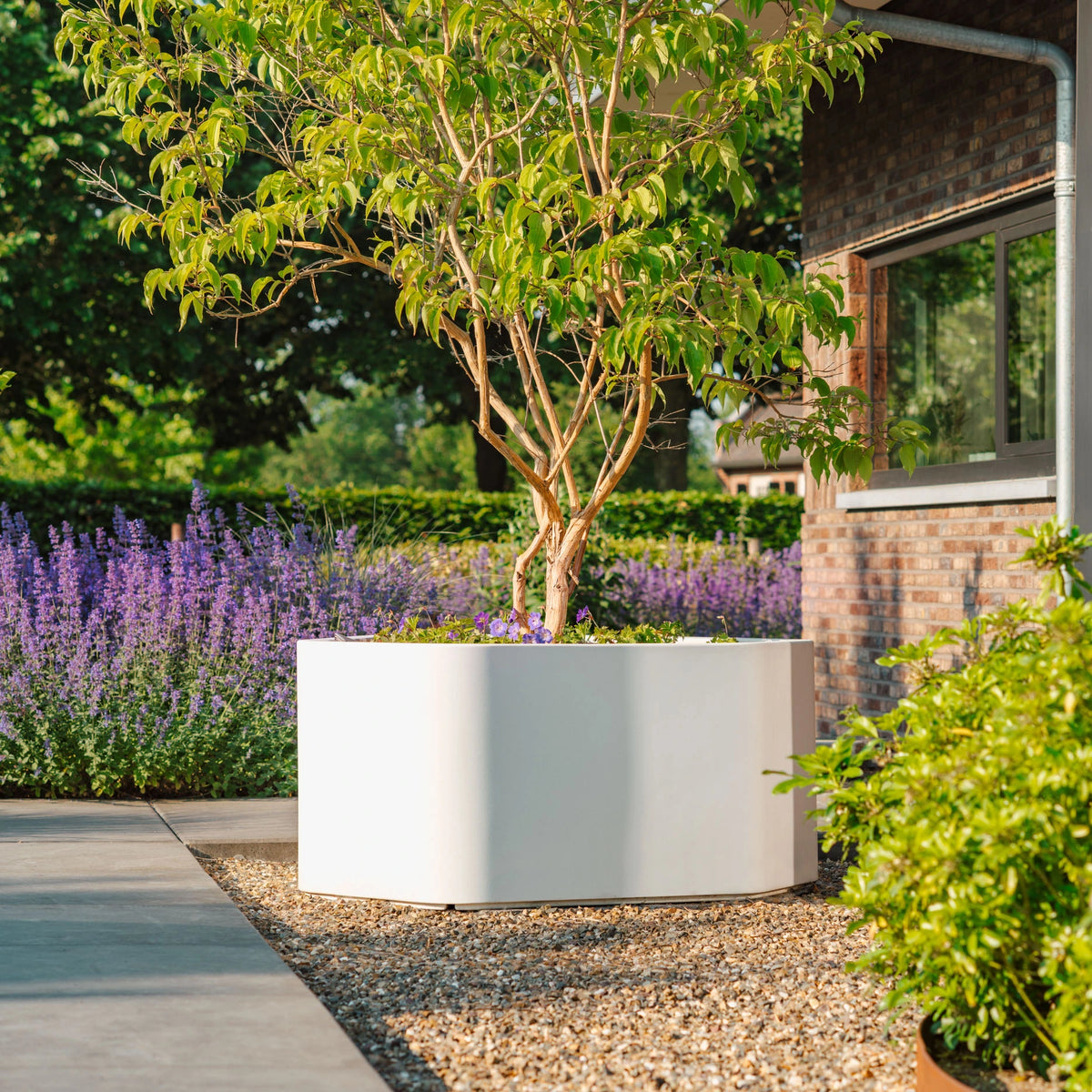 Pflanzkübel ADEZZ SHAPE aus Fiberglas in einer Bepflanzungssituation